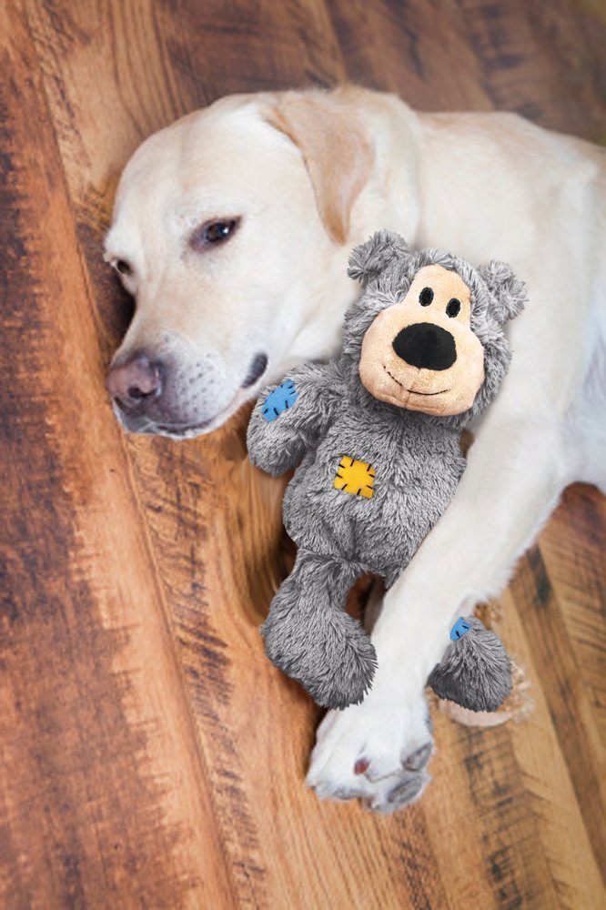 6 Tips To Make Your Home DogFriendly The Smart Dog Guide