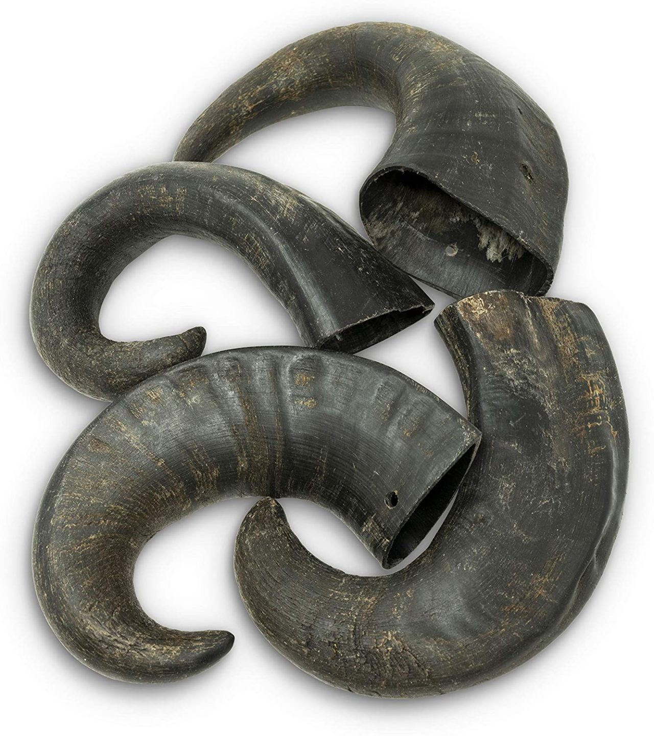 Water Buffalo Horns For Dogs The Smart Dog Guide